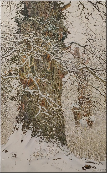Neuschnee