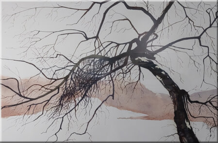 Baum im Winter