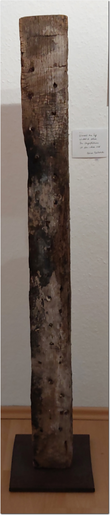 Einmal am Tag