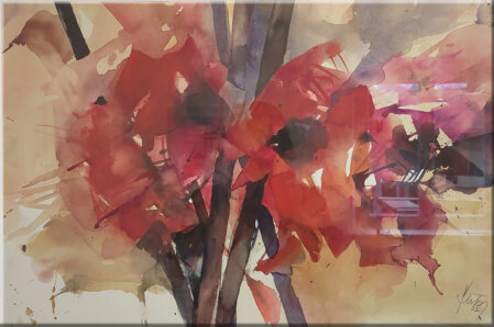 Amaryllis