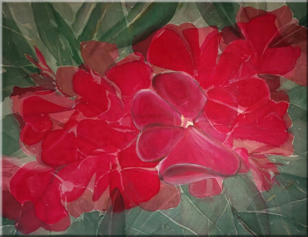 Oleander von Krk